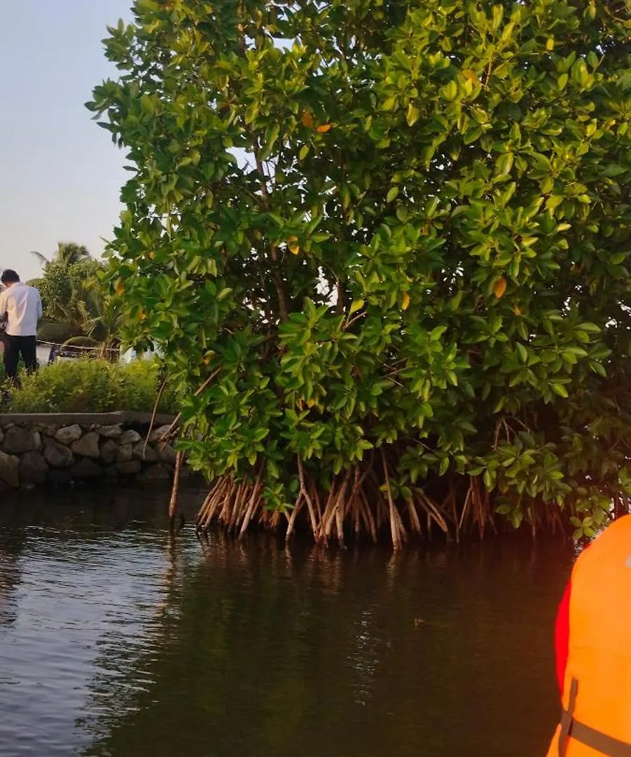 Miracle Dream Homestay Munroe Island Mundrothuruth Indie